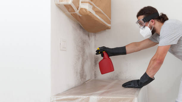 Professional Crawl Space Mold Remediation technician working in Cologne, NJ